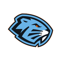 Динамо-Шинник Динамо-Шинник